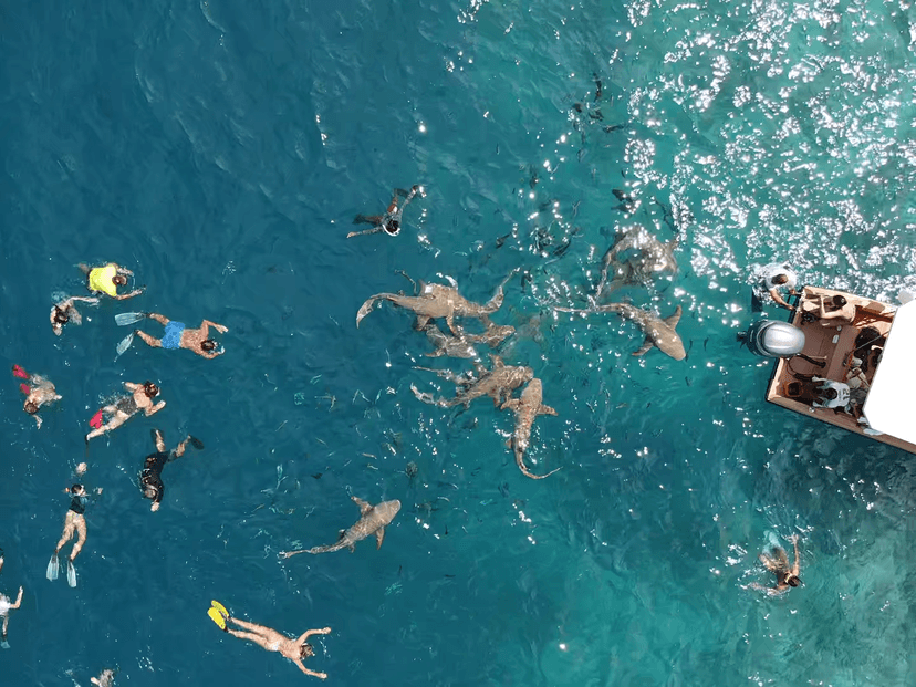 Excursion Trips & Boat Hiring